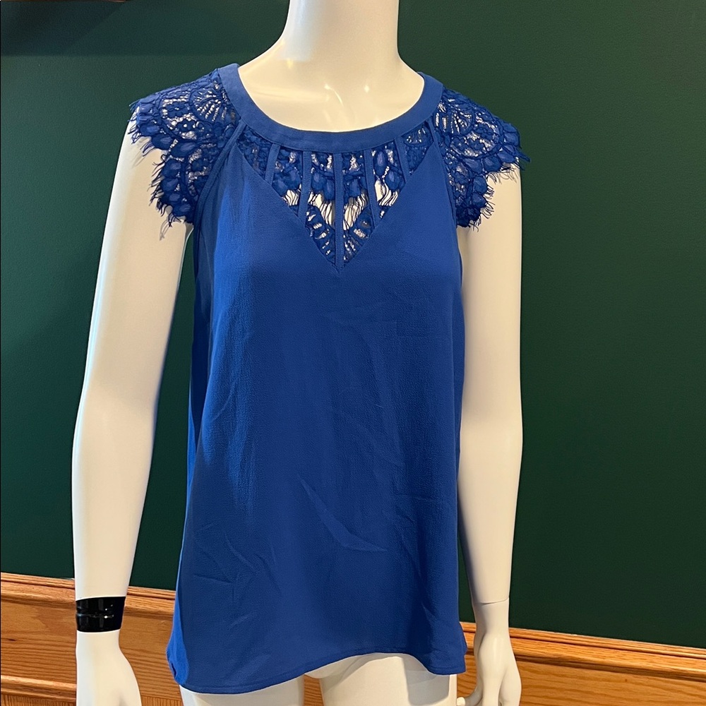 Brixon Ivy Blue Lace Sleeve Women's Top